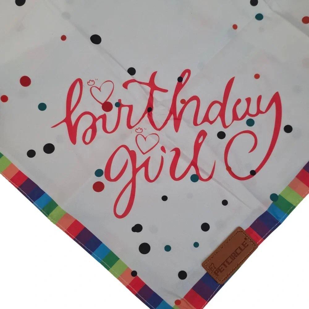 Petcircle Happy Birthday Dog Bandana Set with Pink Glitter Party Hat 3pc NEW